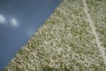 Small Colored Azilal rug, 7.34 ft x 5.01 ft - Image 8