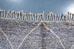 Beni Ourain rug 7.54 ft x 5.24 ft Gray Rug - Image 4