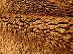 Moroccan Rug, Handmade Rug, Moroccan Rugs - Image 5